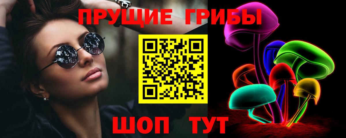 Будённовск  Галлюциногенные грибы GOLDEN TEACHER  Вход с VPN 